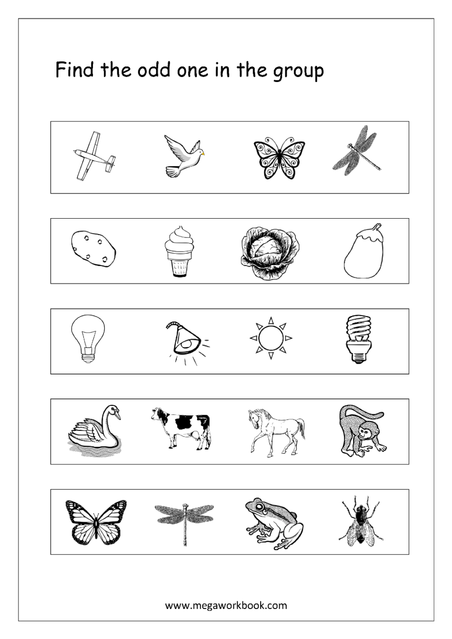 Odd One Out Worksheet