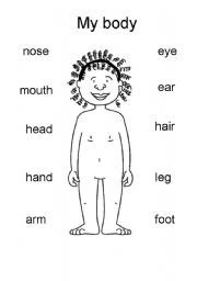 My Body Worksheets For Grade 1