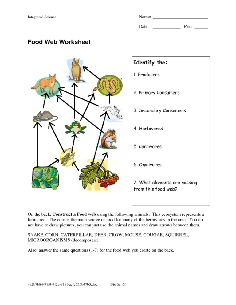 Food Chain Worksheet 4th Grade