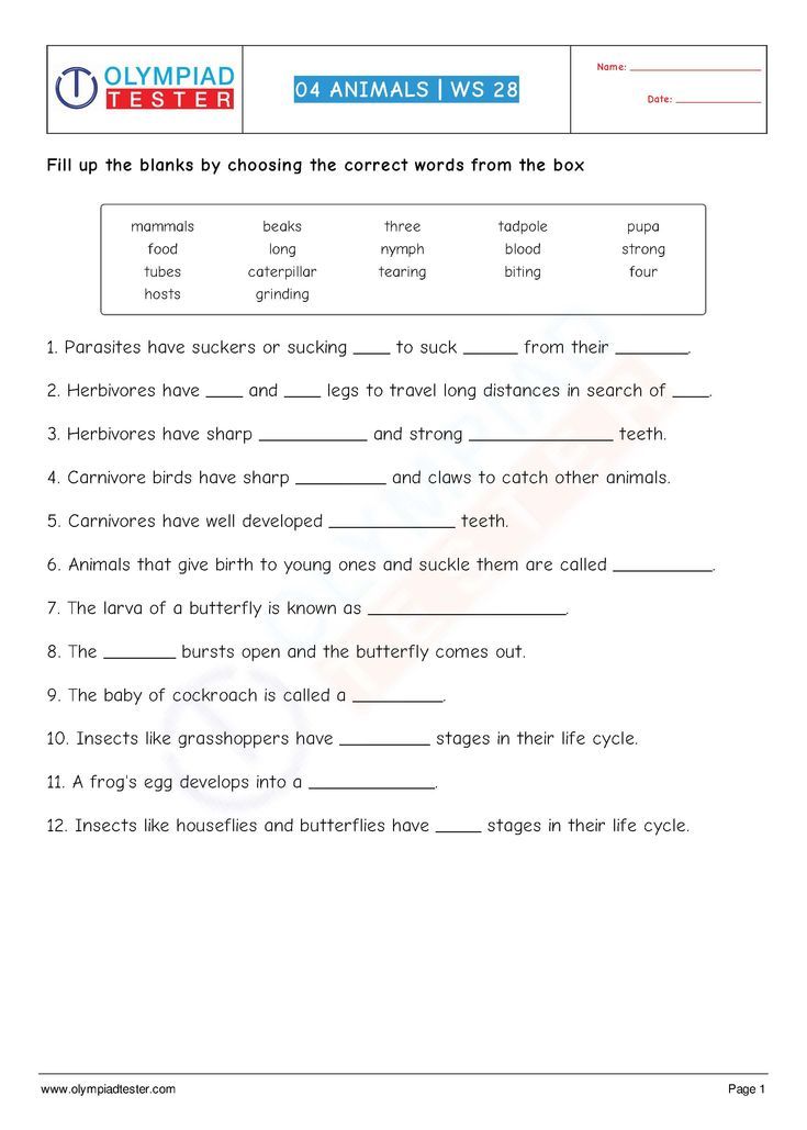 Science Worksheets For Grade 4 Printable