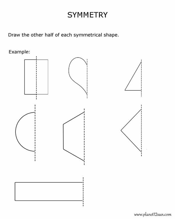 Lines Of Symmetry Worksheet Grade 5