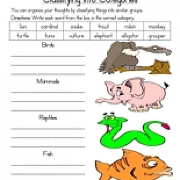 Types Of Animals Worksheets For Grade 2