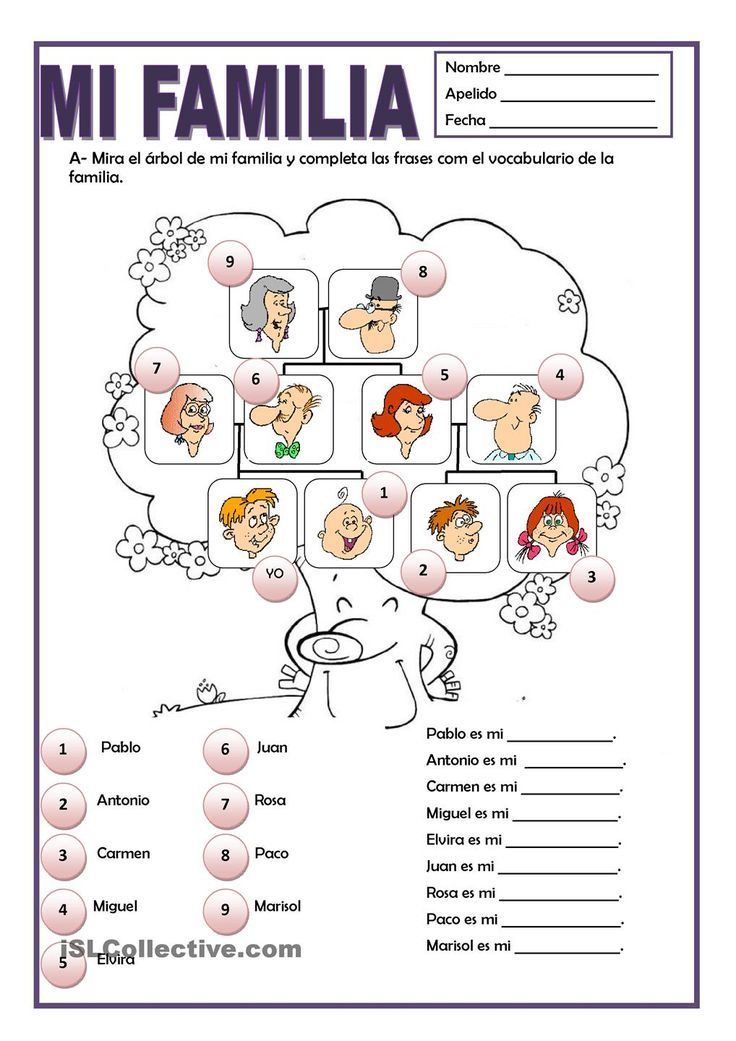Spanish Family Tree Worksheet Answers