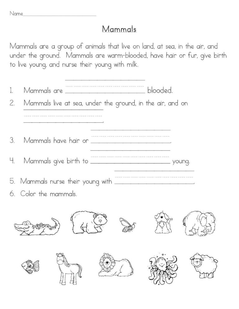 Elements Compounds And Mixtures Worksheet Grade 8 Pdf