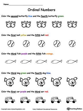 Pet Animals Worksheet For Grade 1