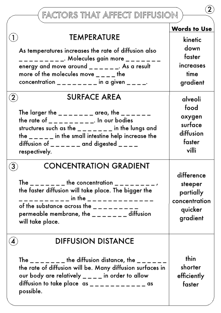 Diffusion And Osmosis Worksheet 7th Grade