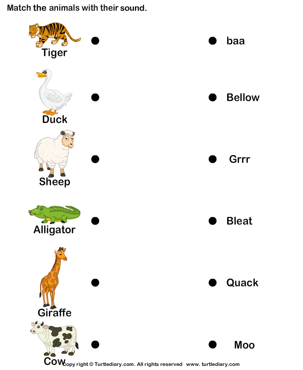 Movements Of Animals Worksheets For Grade 2