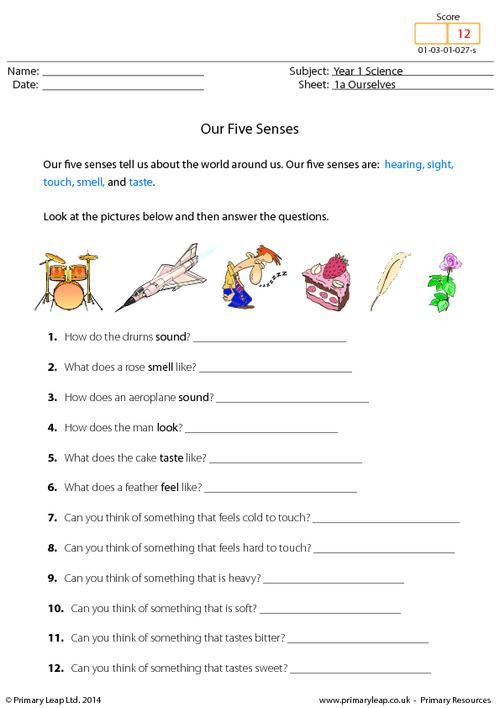 5 Senses Worksheets For 3rd Grade