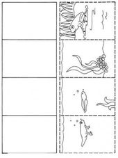 Life Cycle Of A Frog Worksheet Kindergarten