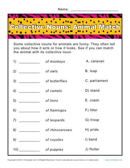 Collective Nouns Worksheet 2nd Grade
