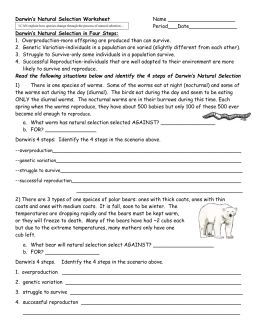 Evolution By Natural Selection Worksheet Answers Quizlet