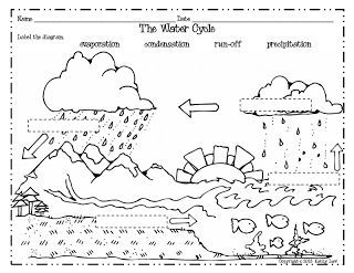 5th Grade Water Cycle Worksheet Pdf