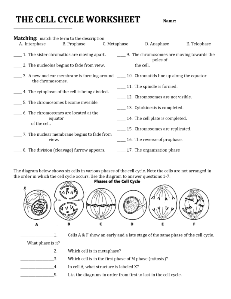 Biology Worksheets With Answers