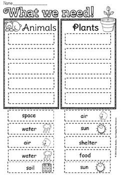 Plants And Animals Worksheets For Grade 3