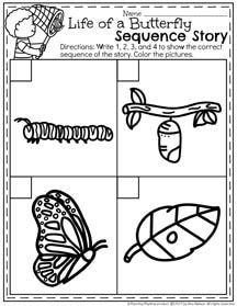 Butterfly Life Cycle Worksheet Kindergarten