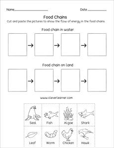 Food Chain Worksheet 1st Grade