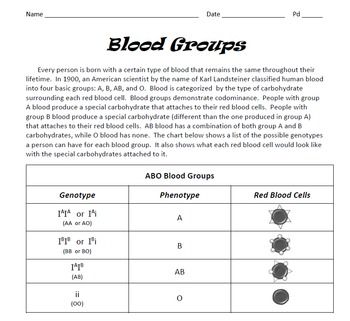 Blood Type Punnett Square Worksheet With Answers