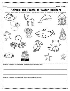 Animals Habitat Worksheet Grade 2