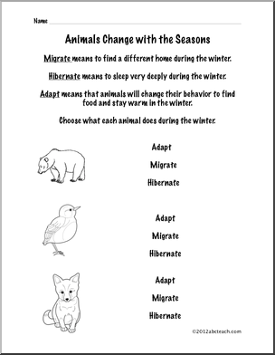 Animal Adaptations Worksheets 3rd Grade