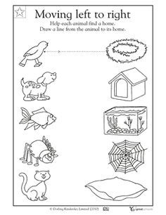 Kindergarten Animals Habitat Worksheet