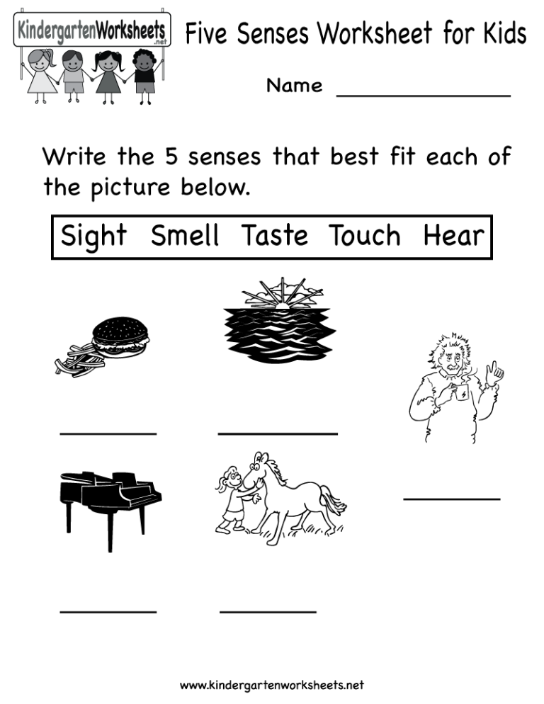 Five Senses Worksheets For First Grade