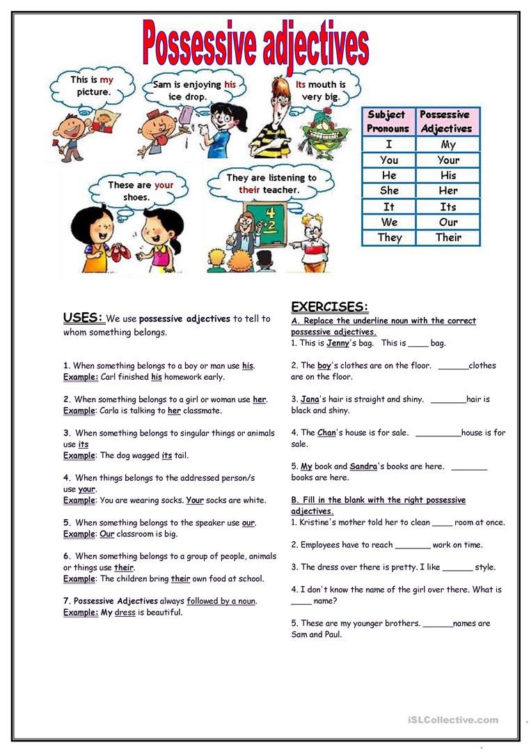 Possessive Adjectives Worksheet For Kids