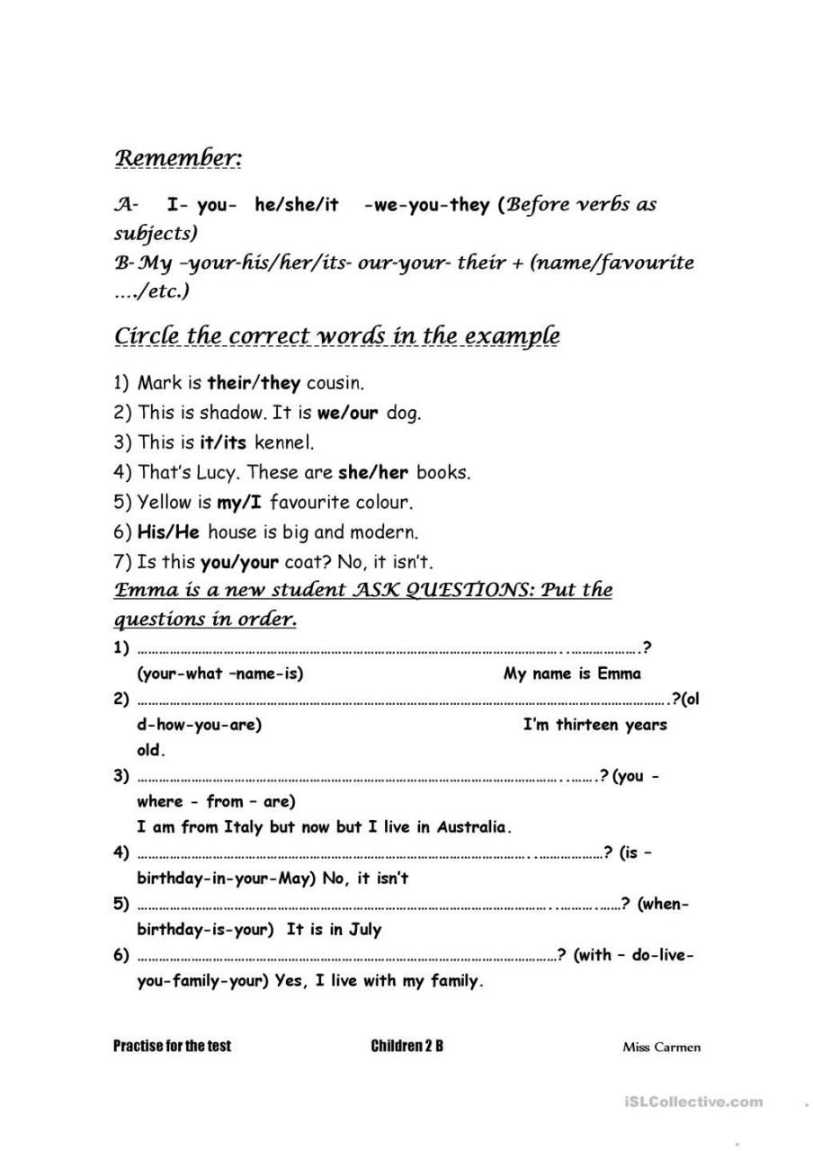 Possessive Adjectives Worksheet For Grade 2