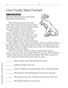 Dinosaur Worksheets 3rd Grade