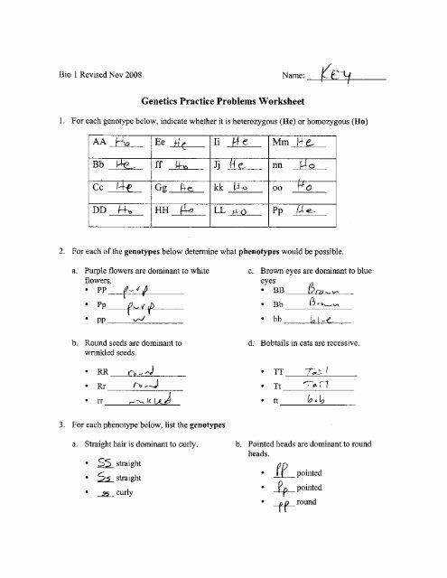 Use Of A And An Worksheet