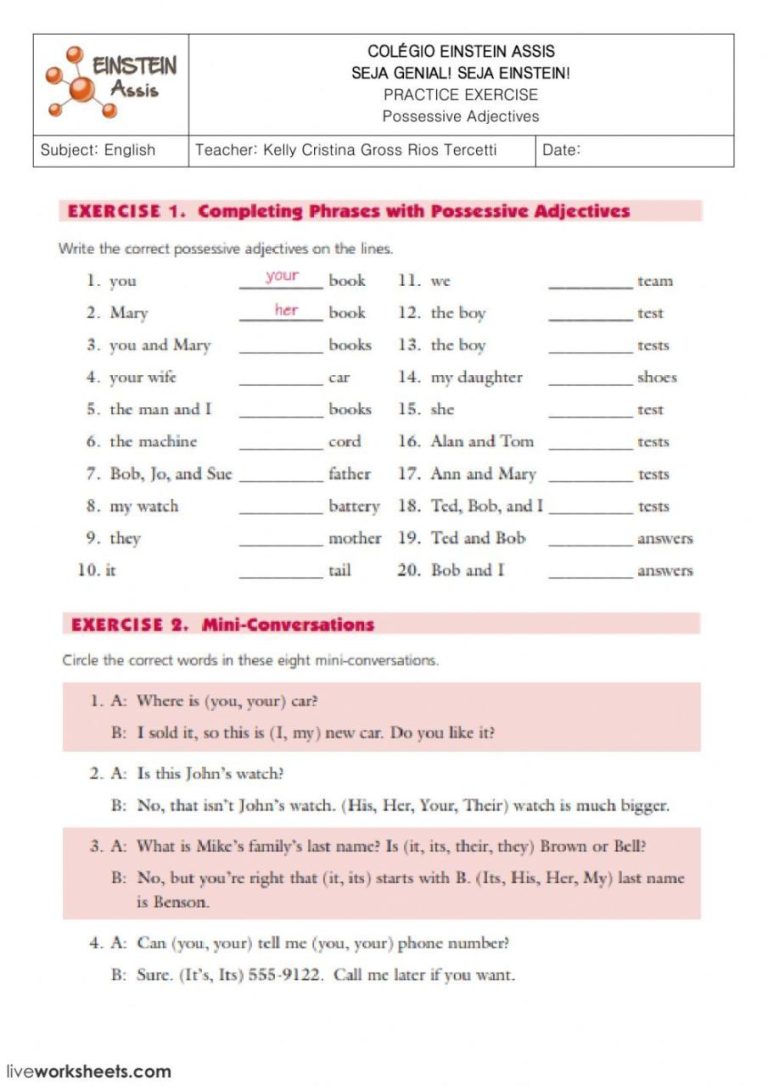 Possessive Adjectives Worksheet Pdf For Beginners