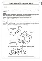 4th Grade Science Worksheets Plants