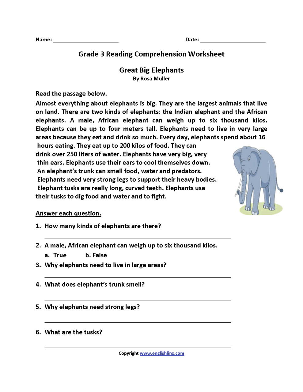 Year 3 Reading Comprehension – Thekidsworksheet