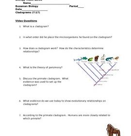 Cladogram Worksheet With Answers