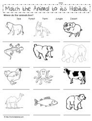 Classifying Animals Worksheet 3rd Grade Pdf