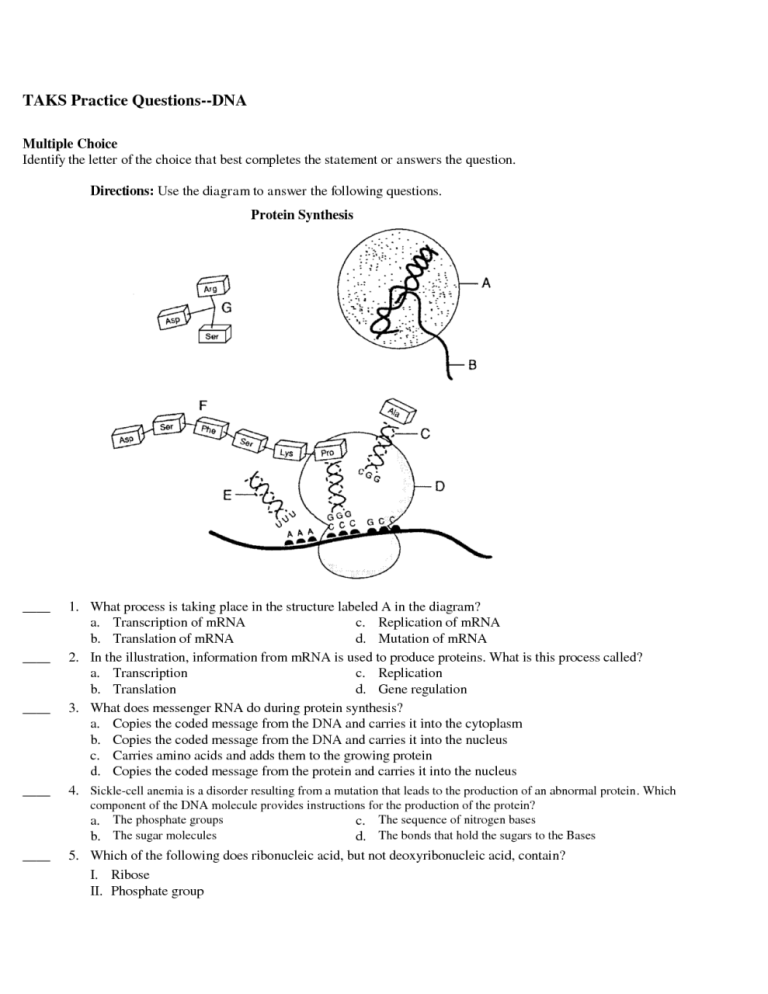 Dna Replication Practice Worksheet Answer Key