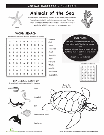 Third Grade Animals Worksheets For Grade 3