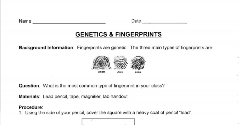 Dna Fingerprinting Questions Worksheet