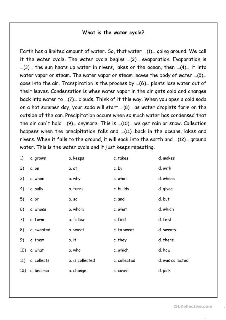 Water Cycle Quiz Worksheet Pdf