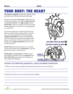 Heart Worksheet For Grade 2