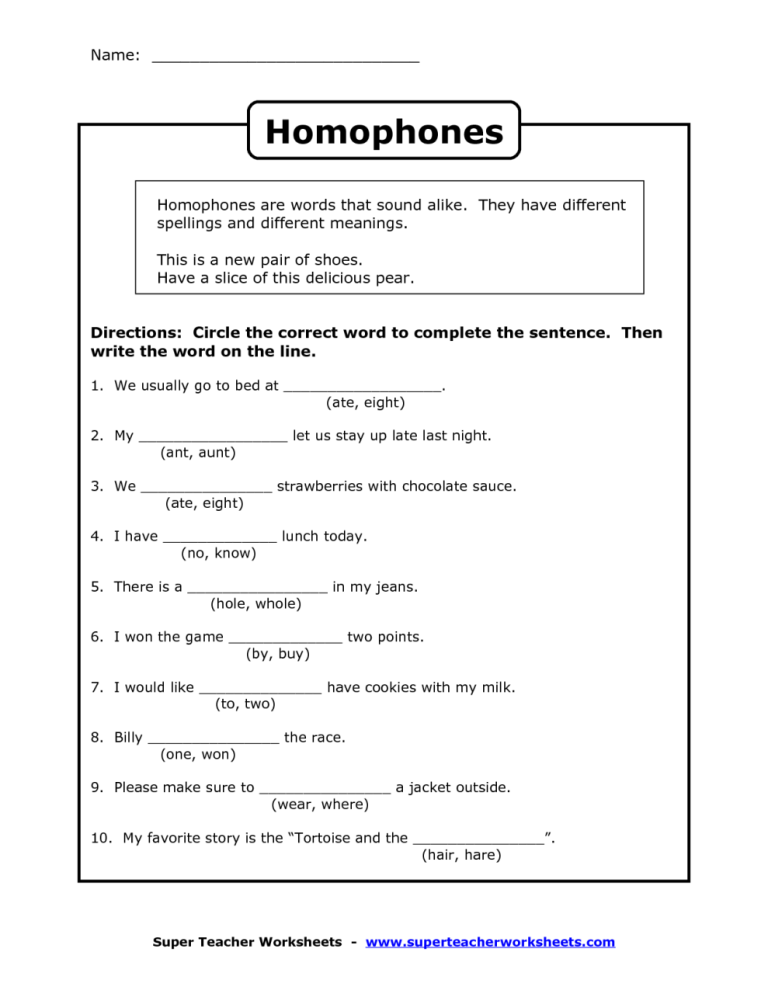 Homophones Worksheets For Grade 2