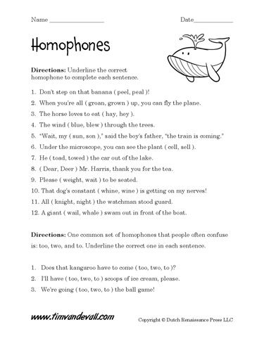Homophones And Homographs Worksheets Pdf