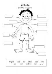 My Body Worksheet For Kids