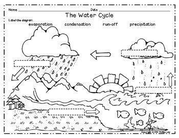 Water Cycle Worksheet Answer Key