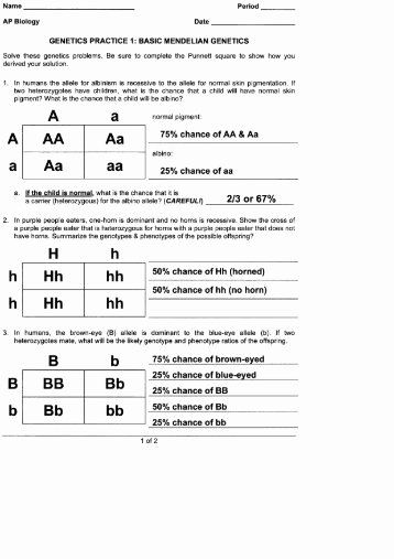 Punnett Square Worksheet 1 Answer Sheet