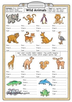 Wild Animals Worksheets For Kindergarten