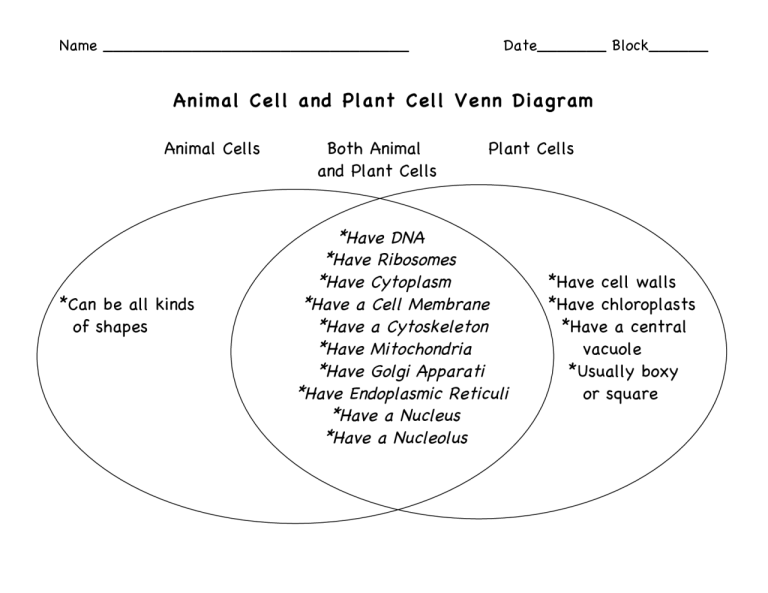 Comparison Worksheet Plant Cell Vs Animal Cell Venn Diagram