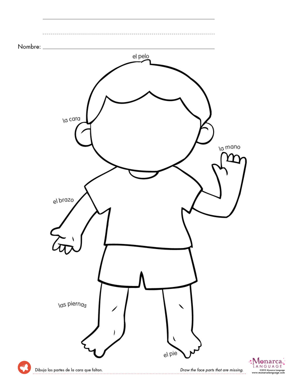 Body Part Worksheet Kindergarten