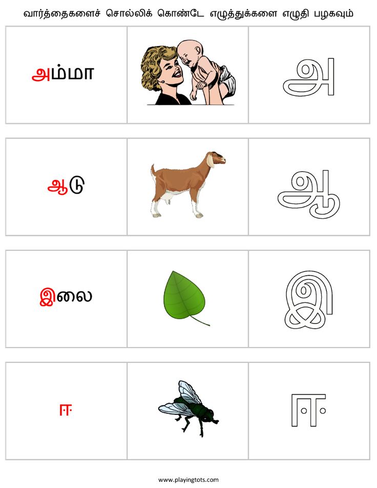 Worksheets For Kindergarten Tamil