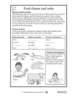 Food Chain Science Worksheet For Grade 3