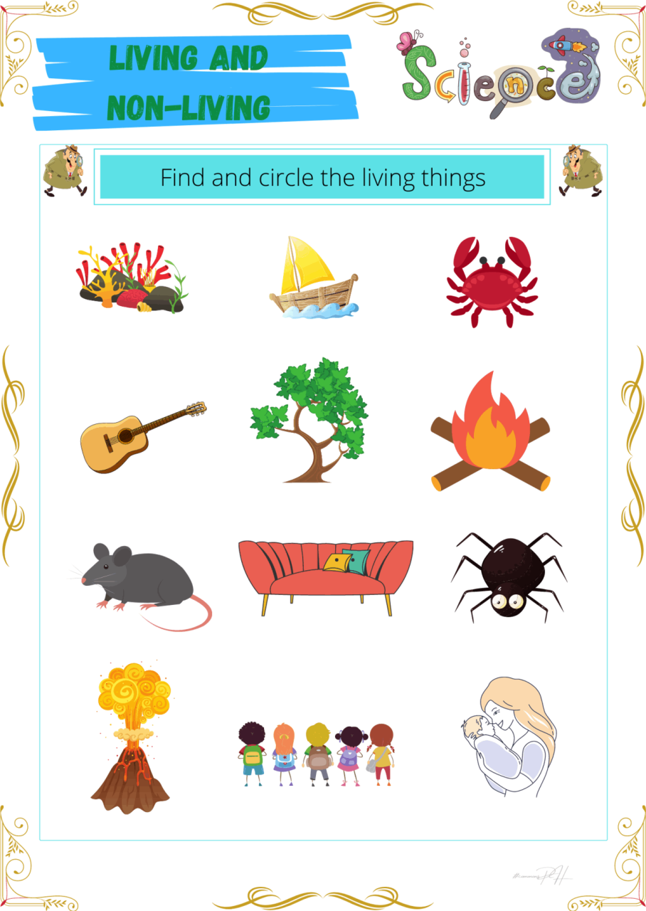 Grade 1 Science Worksheet Living Things and NonLiving Things